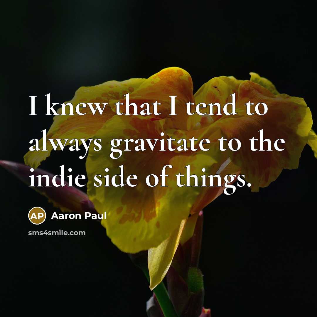 “I knew that I tend to always gravitate to the indie side of things.” quote by Aaron Paul