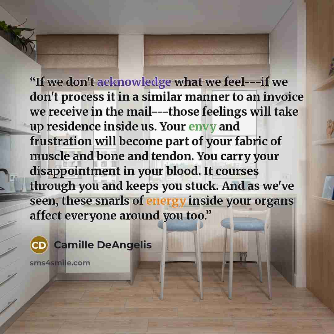 “If we don't acknowledge what we feel---if we don't process it in a similar manner to an invoice we receive in the mail---those feelings will take up residence inside us. Your envy and frustration will become part of your fabric of muscle and bone and tendon. You carry your disappointment in your…” quote by Camille DeAngelis
