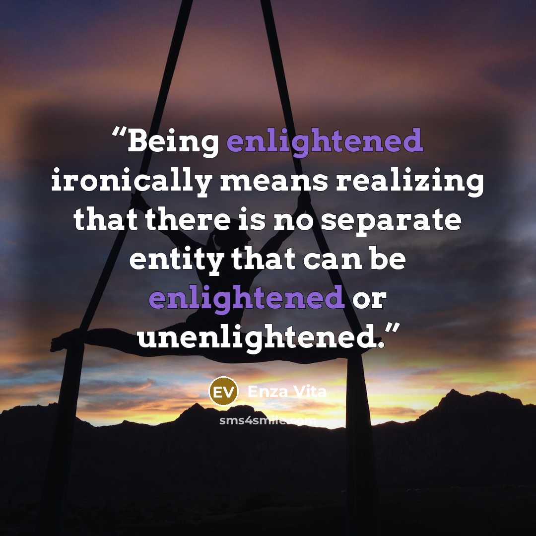 “Being enlightened ironically means realizing that there is no separate entity that can be enlightened or unenlightened.” quote by Enza Vita