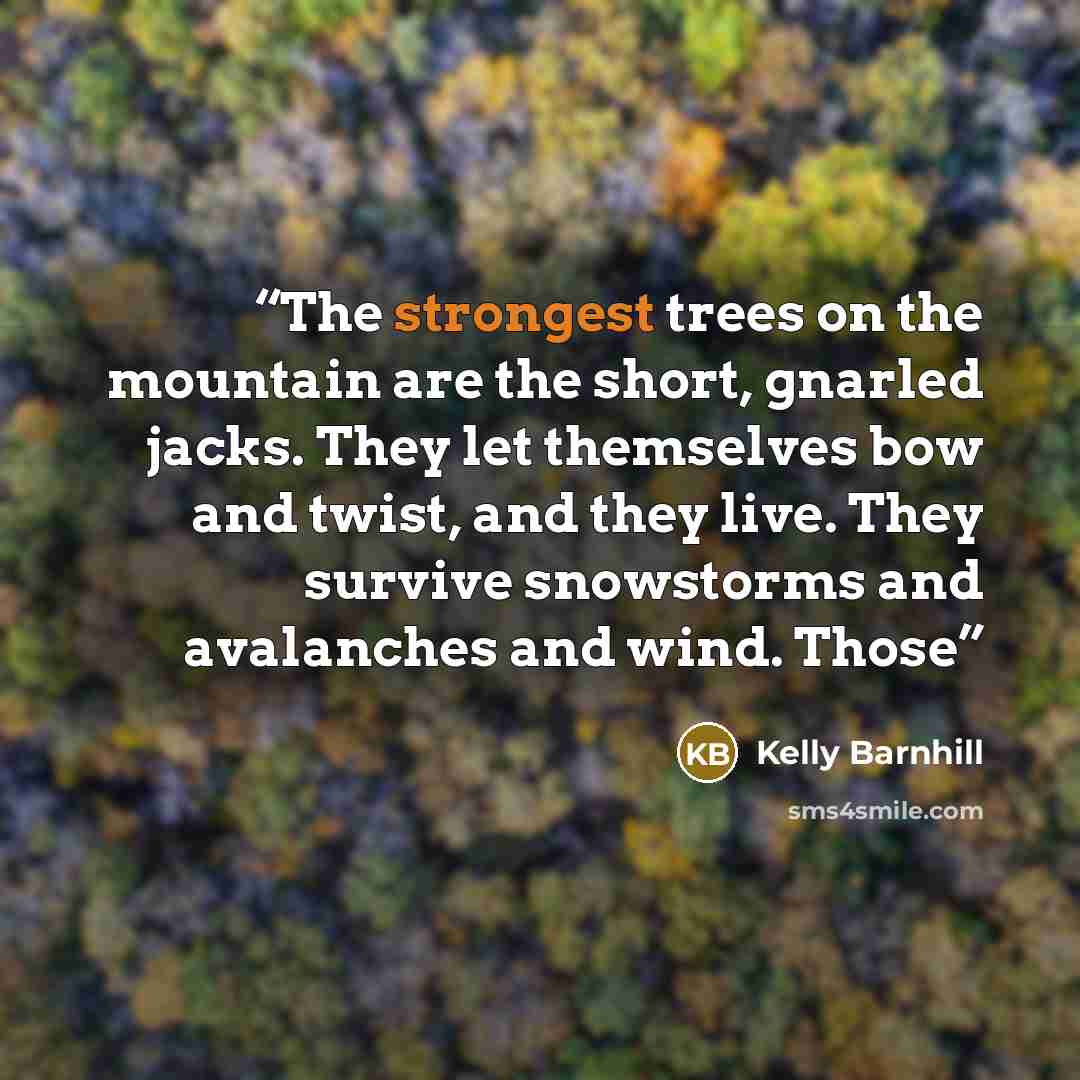 “The strongest trees on the mountain are the short, gnarled jacks. They let themselves bow and twist, and they live. They survive snowstorms and avalanches and wind. Those” quote by Kelly Barnhill
