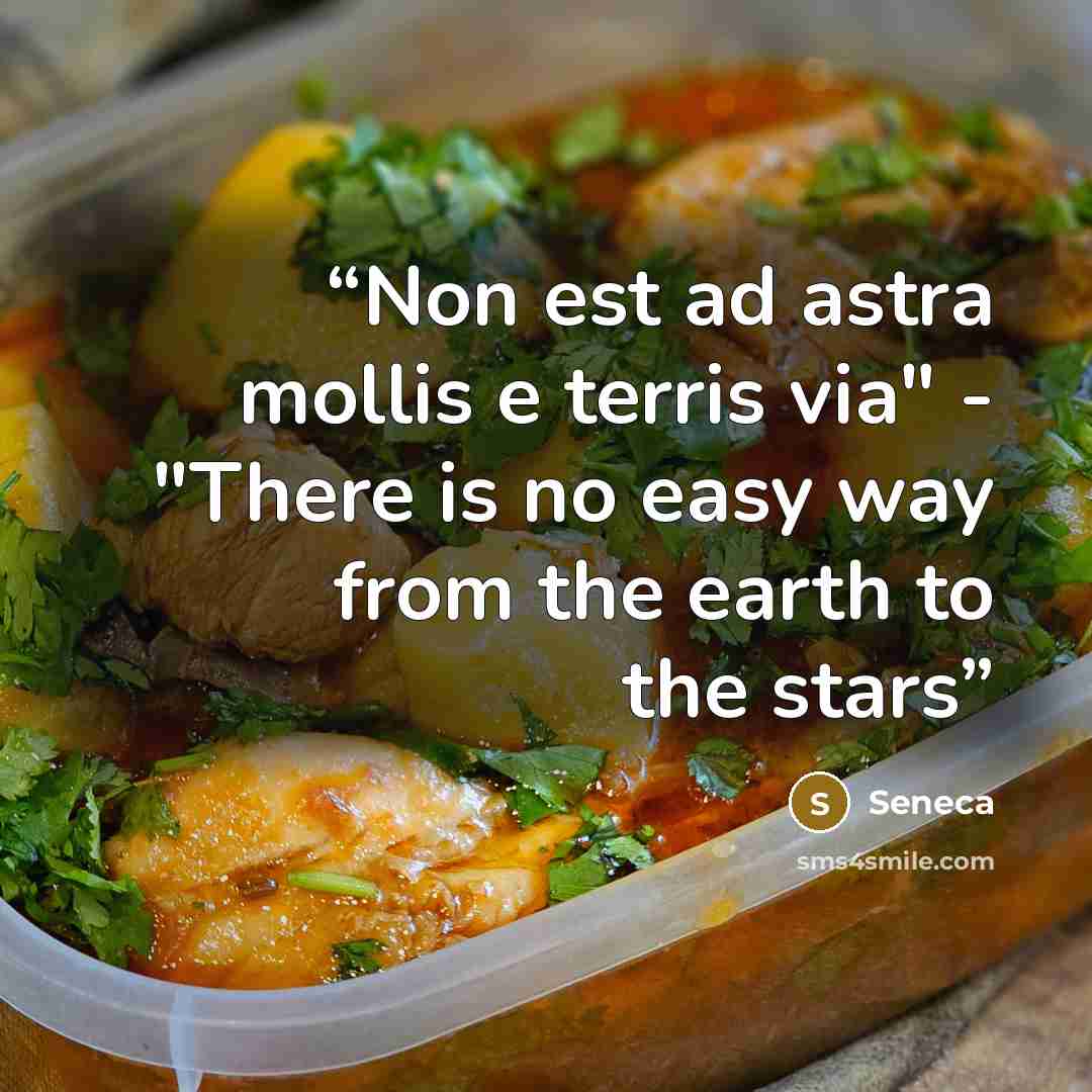 “Non est ad astra mollis e terris via" - "There is no easy way from the earth to the stars” quote by Seneca