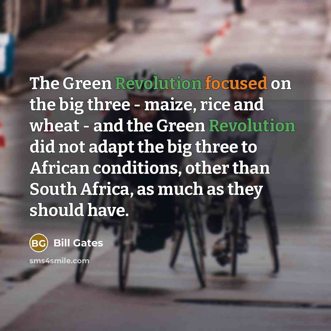 “The Green Revolution focused on the big three - maize, rice and wheat - and the Green Revolution did not adapt the big three to African conditions, other than South Africa, as much as they should have.” quote by Bill Gates