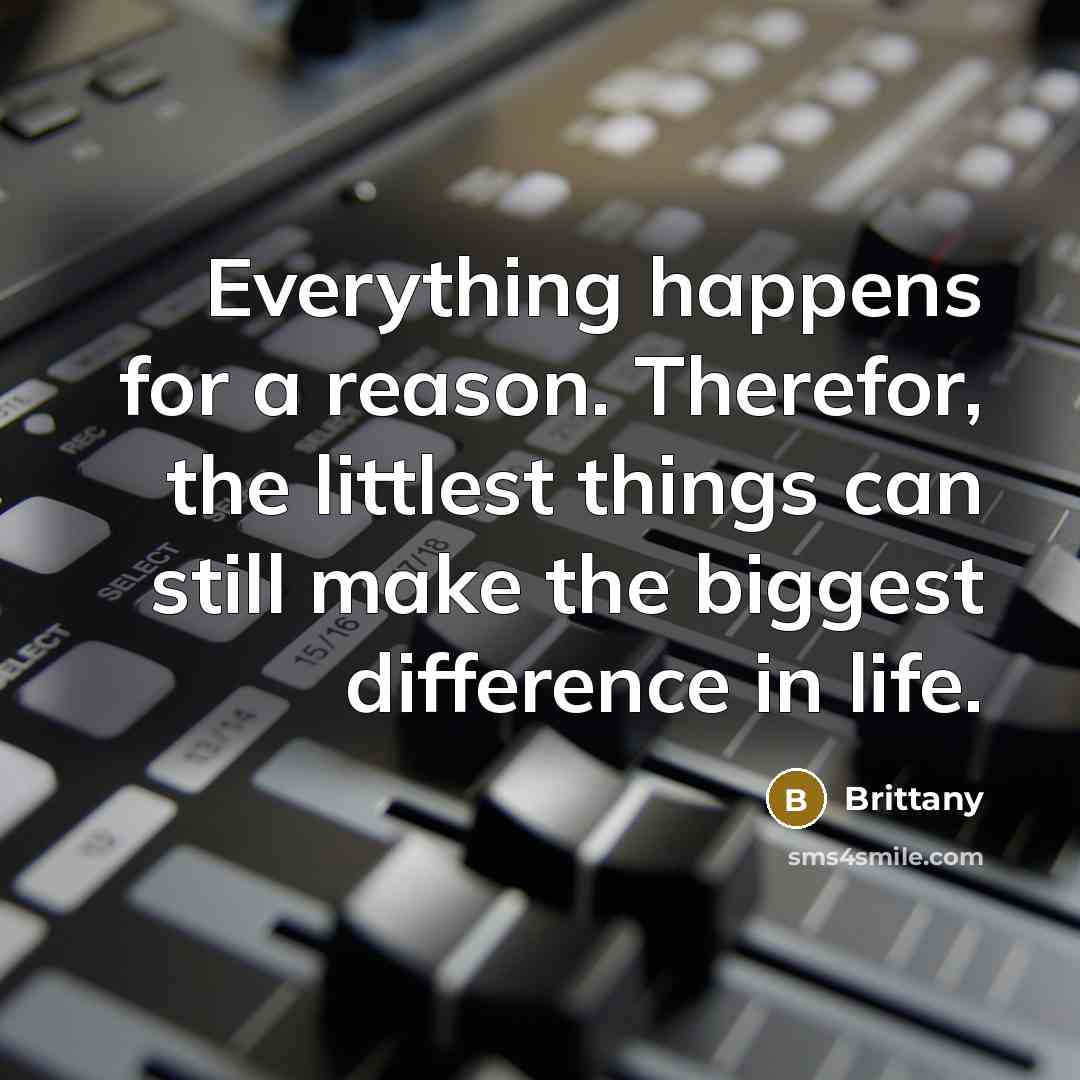 “Everything happens for a reason. Therefor, the littlest things can still make the biggest difference in life.” quote by Brittany