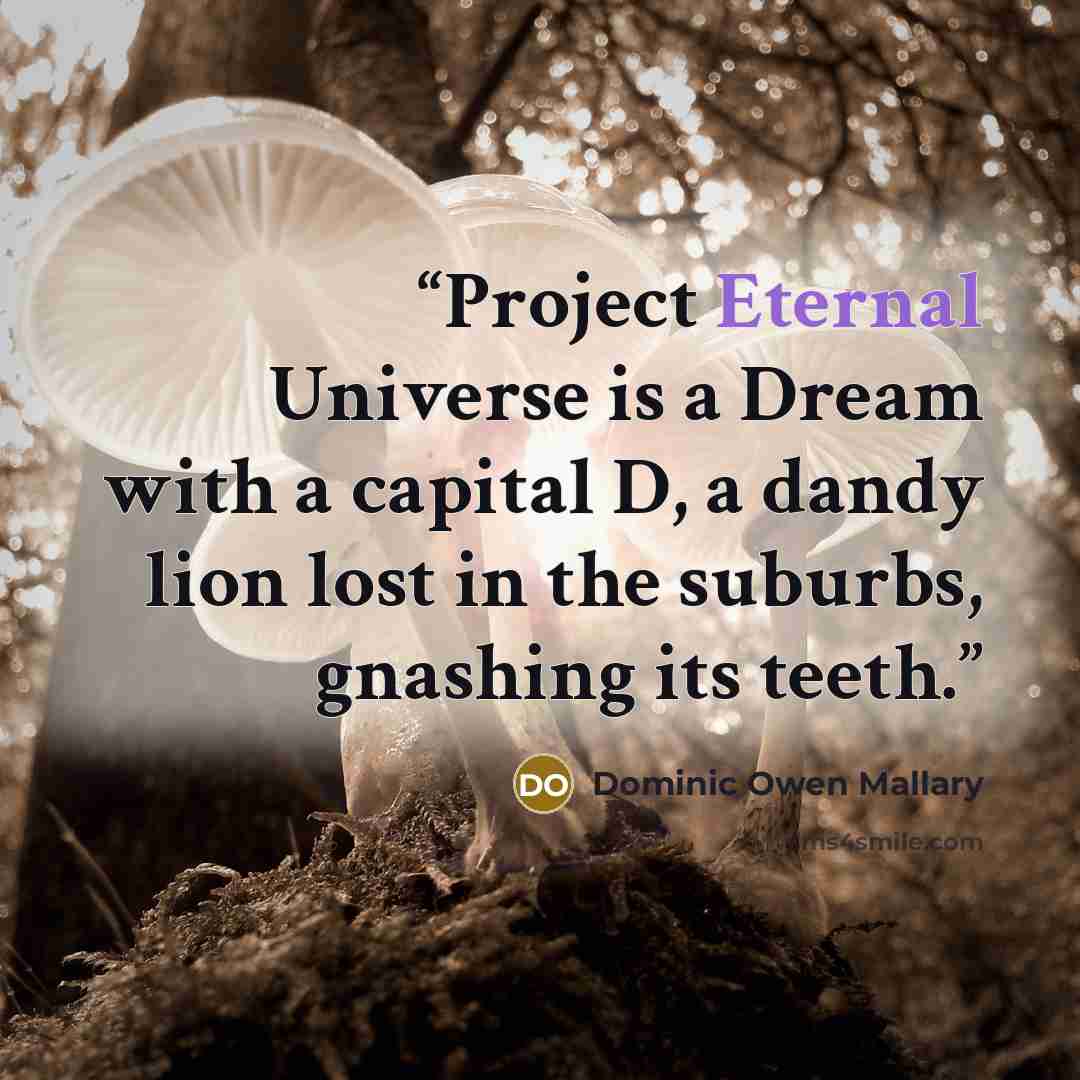 “Project Eternal Universe is a Dream with a capital D, a dandy lion lost in the suburbs, gnashing its teeth.” quote by Dominic Owen Mallary