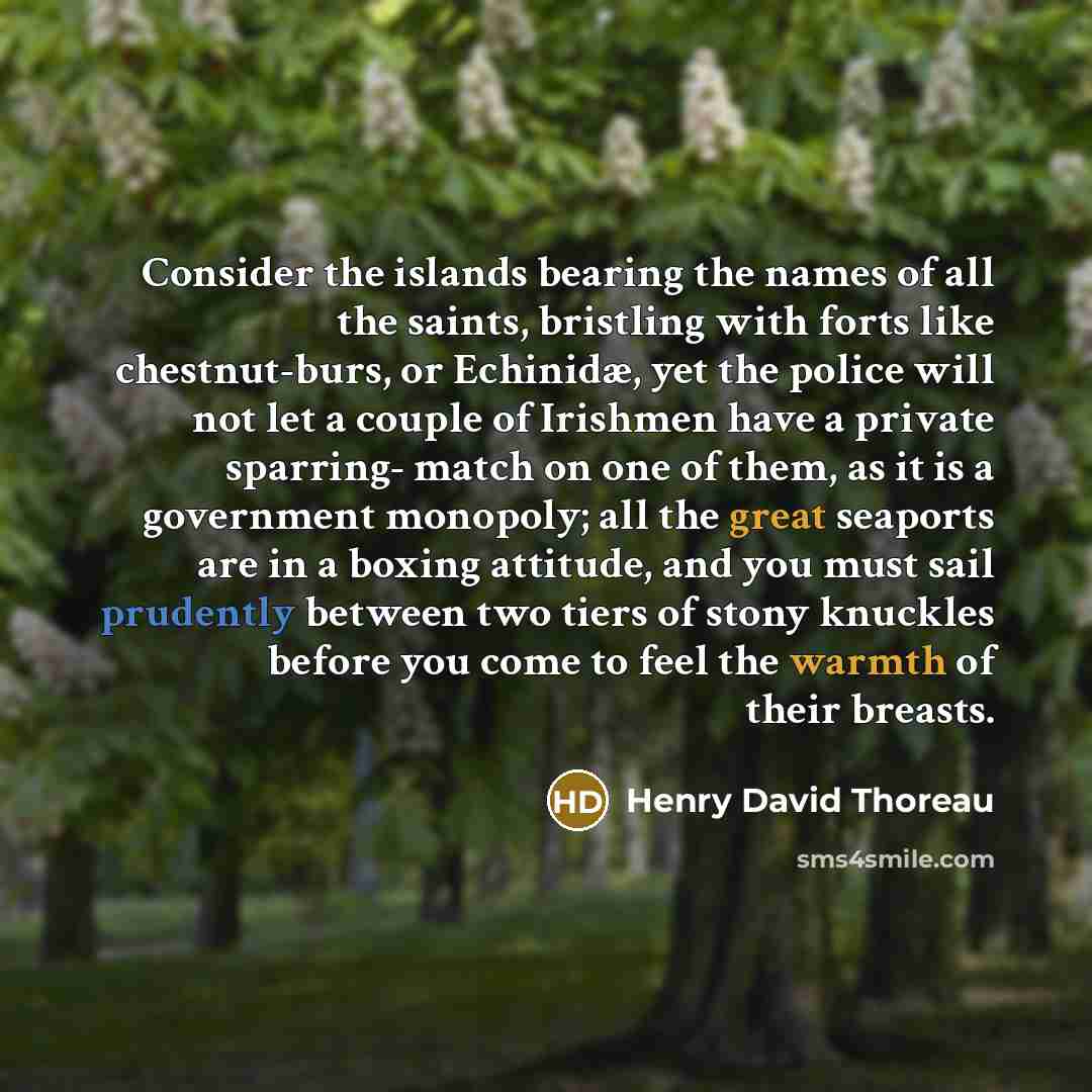 “Consider the islands bearing the names of all the saints, bristling with forts like chestnut-burs, or Echinidæ, yet the police will not let a couple of Irishmen have a private sparring- match on one of them, as it is a government monopoly; all the great seaports are in a boxing attitude, and you…” quote by Henry David Thoreau