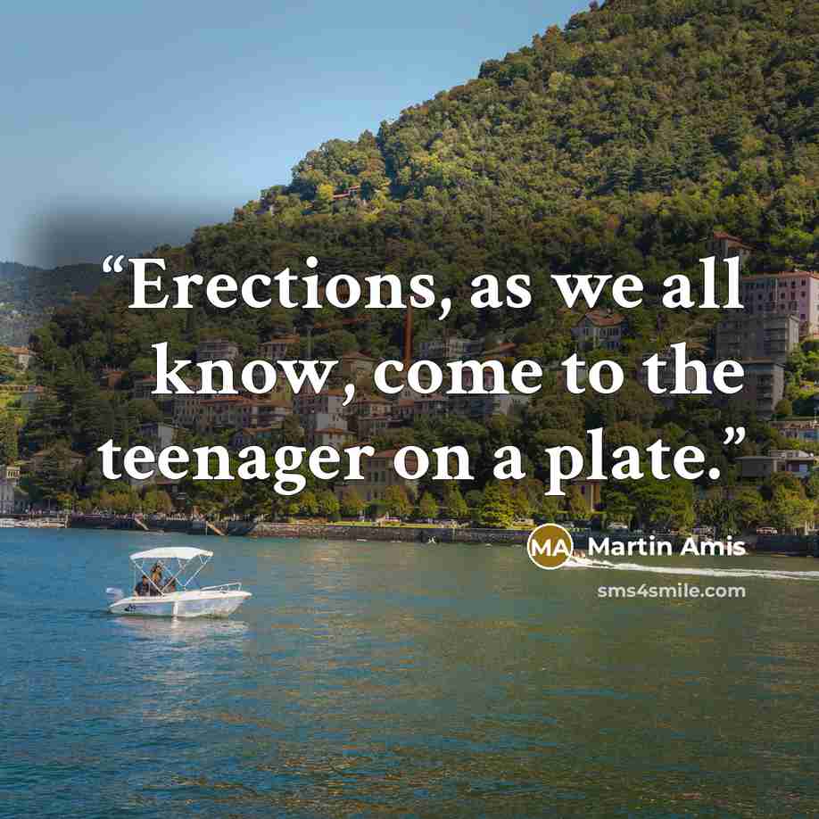 “Erections, as we all know, come to the teenager on a plate.” quote by Martin Amis