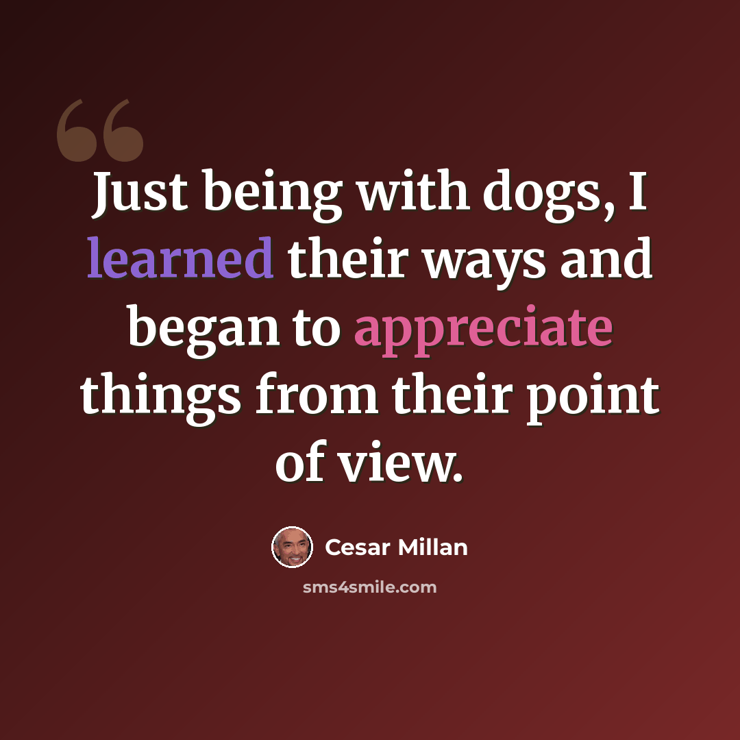 “Just being with dogs, I learned their ways and began to appreciate things from their point of view.” quote by Cesar Millan