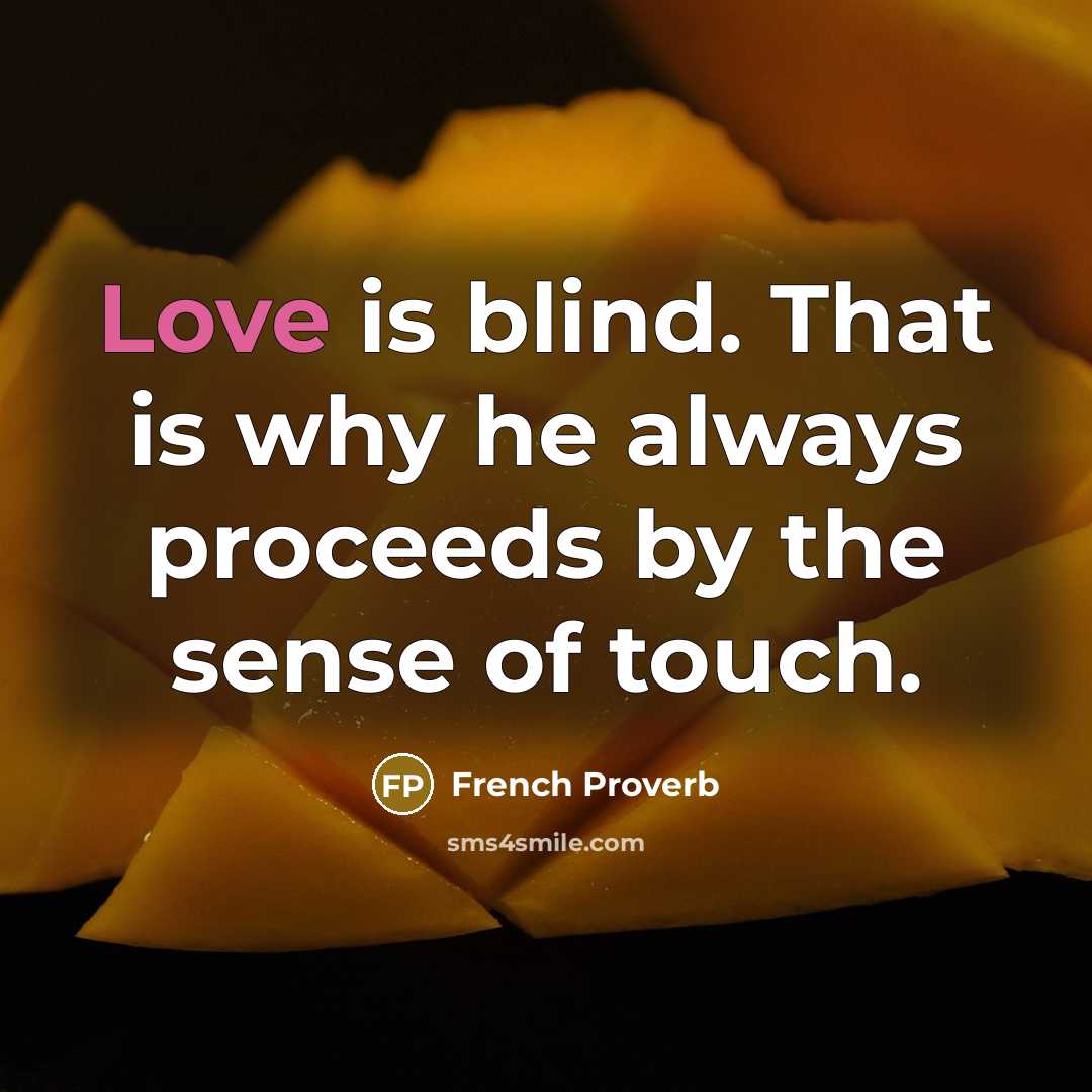“Love is blind. That is why he always proceeds by the sense of touch.” quote by French Proverb