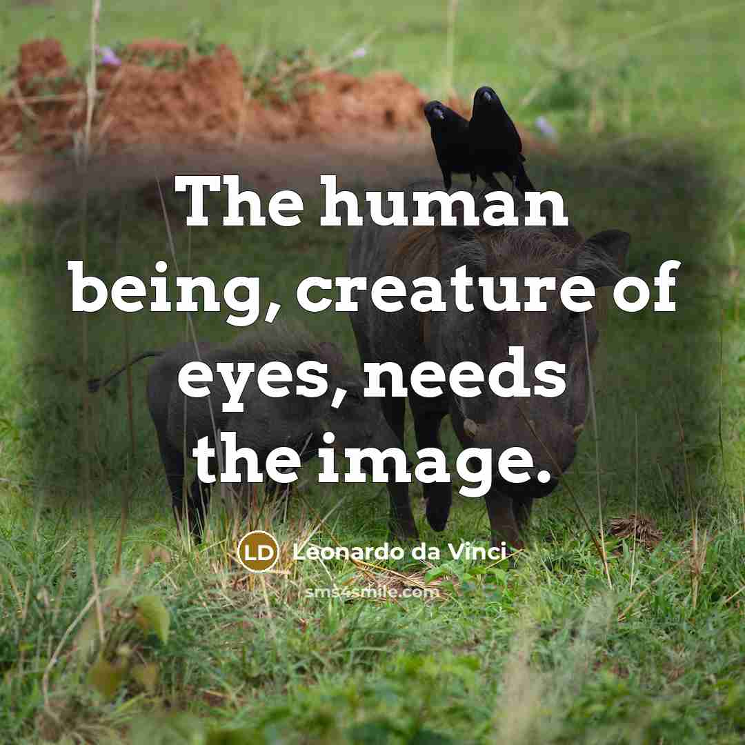 “The human being, creature of eyes, needs the image.” quote by Leonardo da Vinci