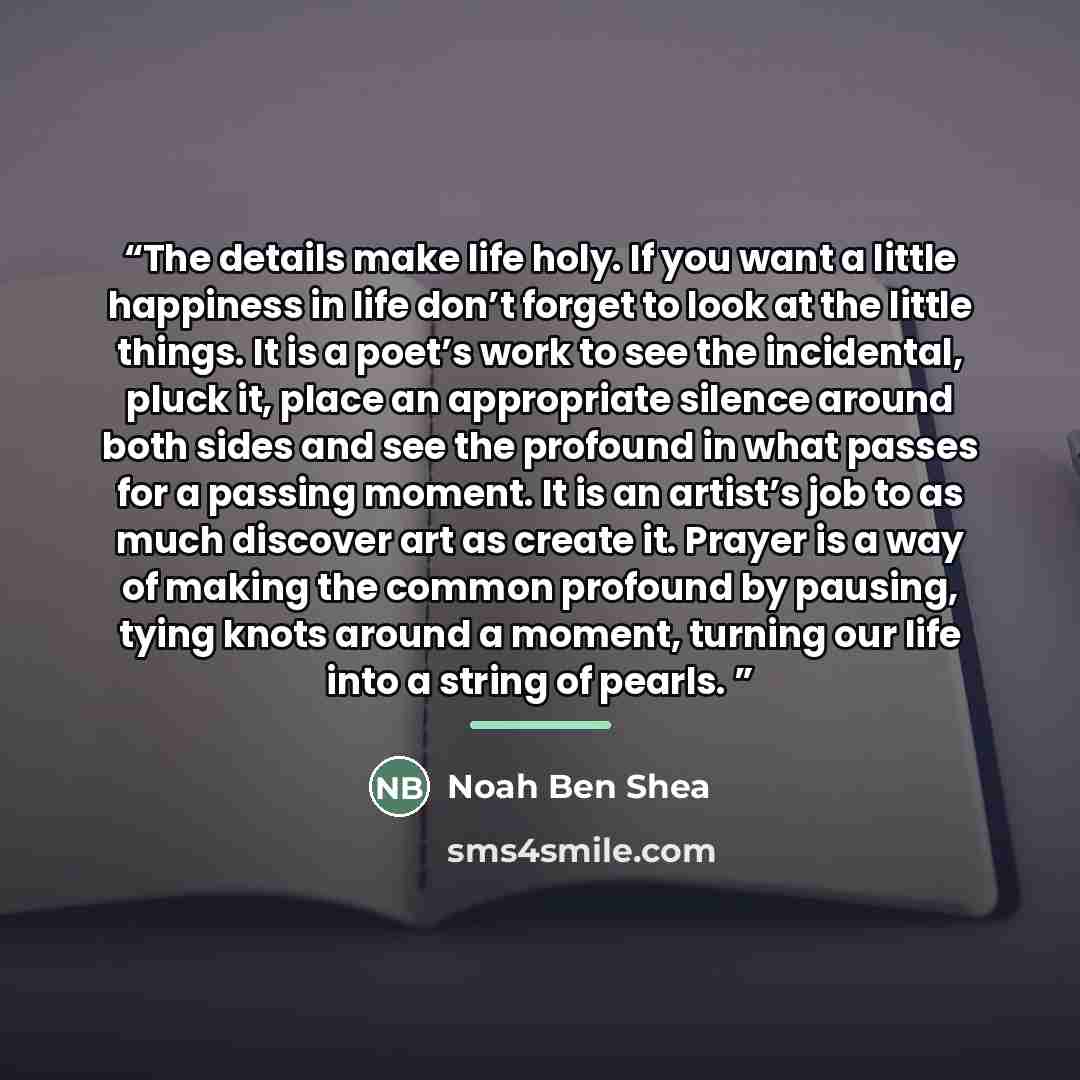 “The details make life holy. If you want a little happiness in life don’t forget to look at the little things. It is a poet’s work to see the incidental, pluck it, place an appropriate silence around both sides and see the profound in what passes for a passing moment. It is an artist’s job to as…” quote by Noah Ben Shea