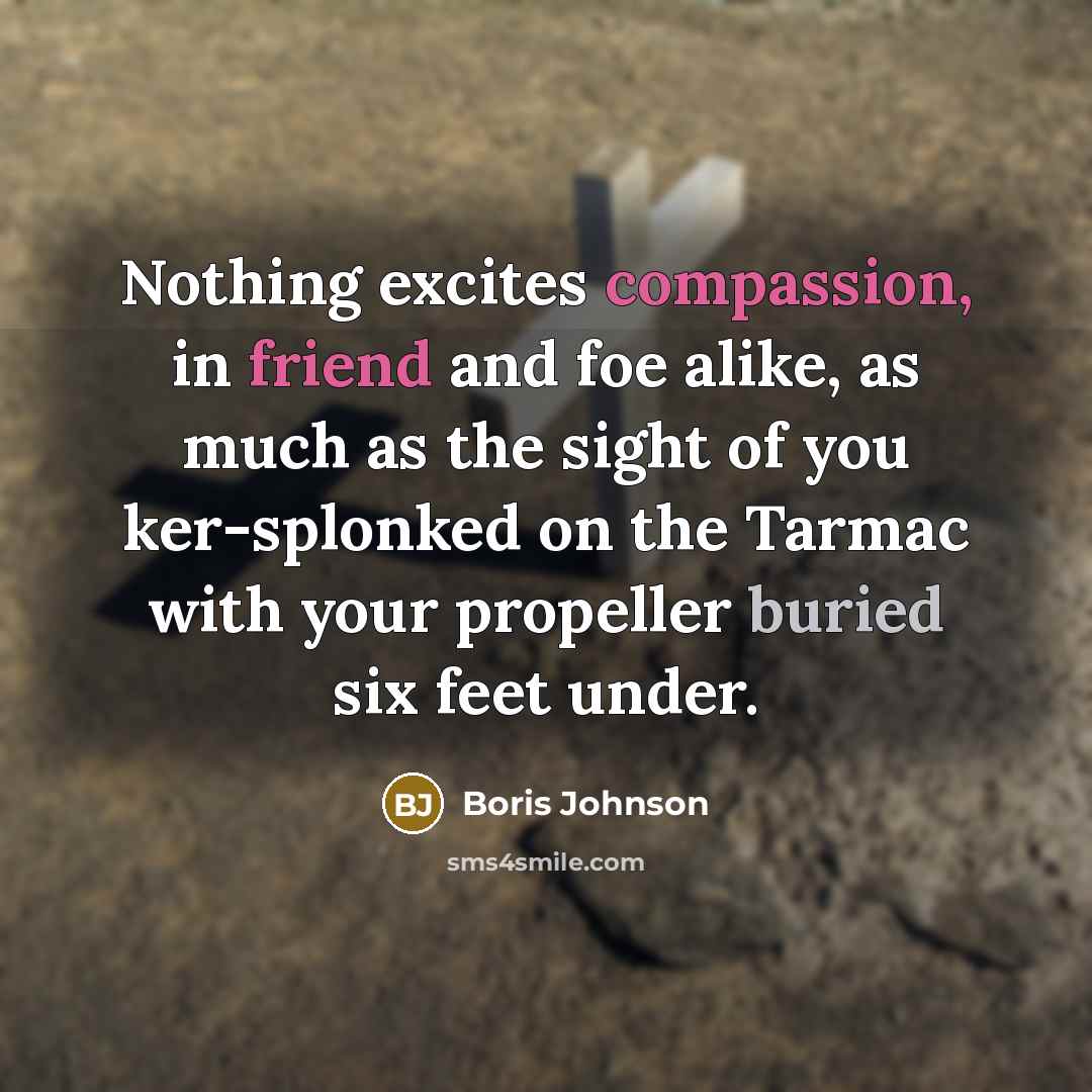 “Nothing excites compassion, in friend and foe alike, as much as the sight of you ker-splonked on the Tarmac with your propeller buried six feet under.” quote by Boris Johnson
