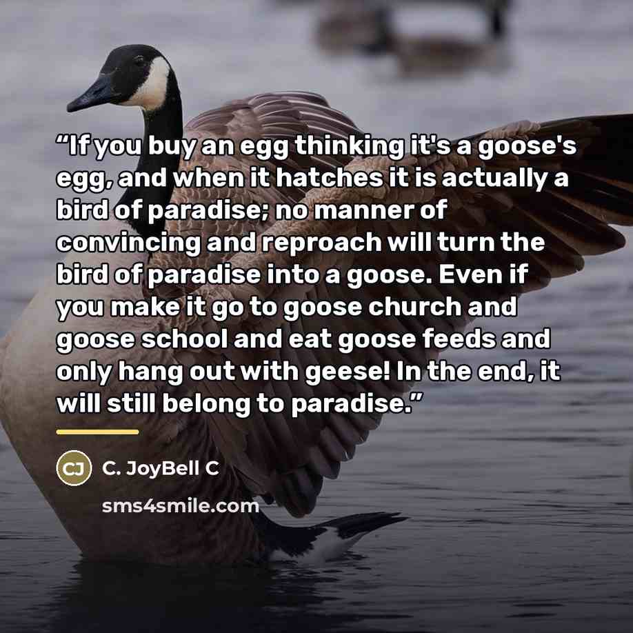 “If you buy an egg thinking it's a goose's egg, and when it hatches it is actually a bird of paradise; no manner of convincing and reproach will turn the bird of paradise into a goose. Even if you make it go to goose church and goose school and eat goose feeds and only hang out with geese! In the…” quote by C. JoyBell C