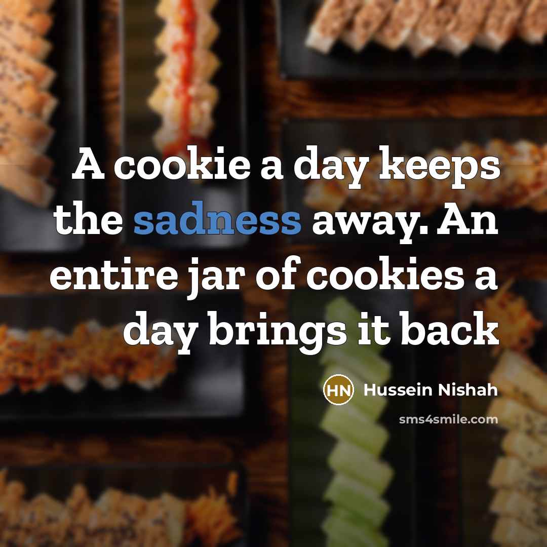 “A cookie a day keeps the sadness away. An entire jar of cookies a day brings it back” quote by Hussein Nishah
