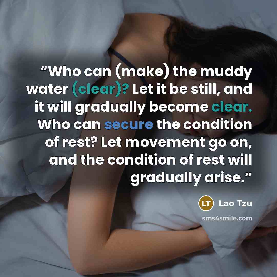 “Who can (make) the muddy water (clear)? Let it be still, and it will gradually become clear. Who can secure the condition of rest? Let movement go on, and the condition of rest will gradually arise.” quote by Lao Tzu