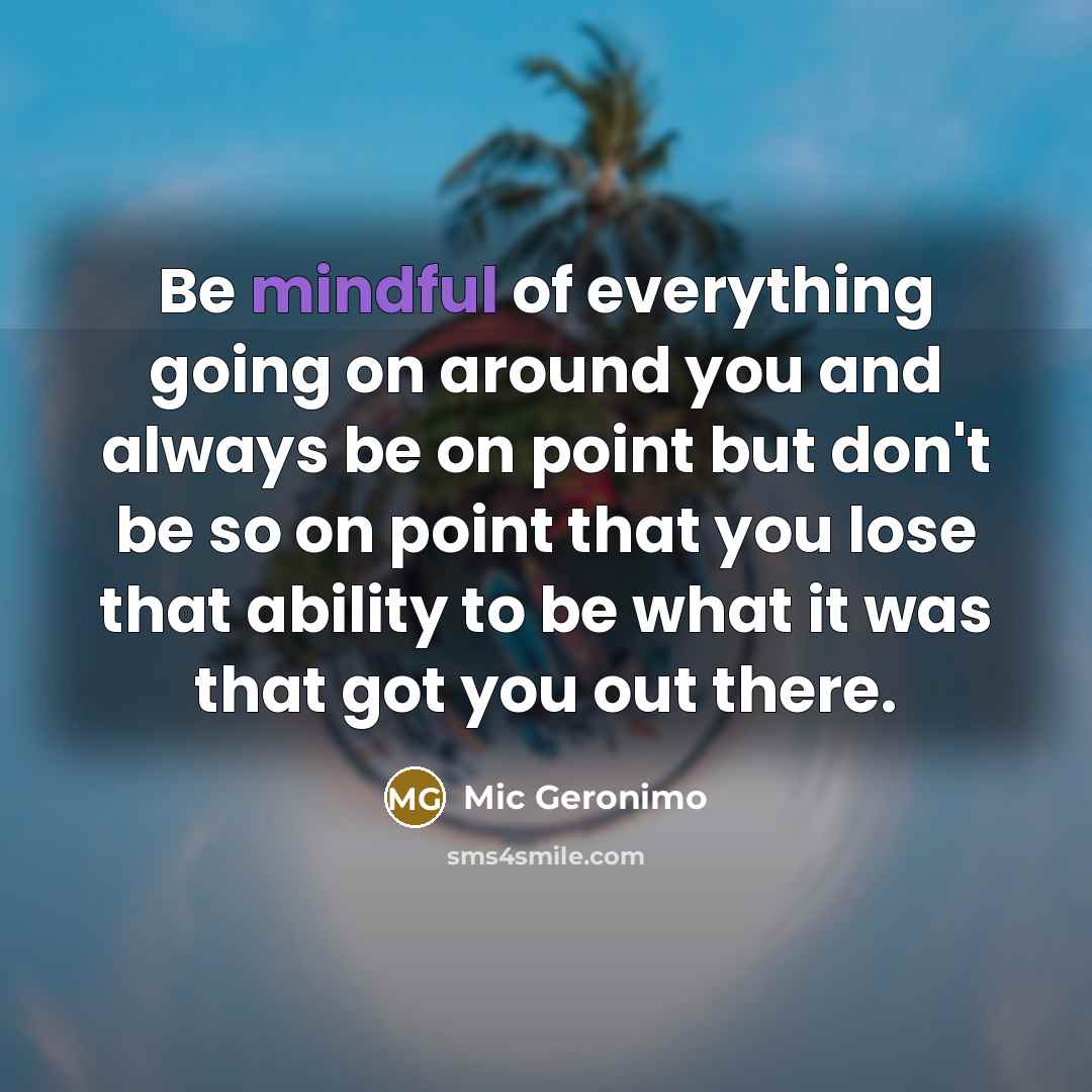 “Be mindful of everything going on around you and always be on point but don't be so on point that you lose that ability to be what it was that got you out there.” quote by Mic Geronimo