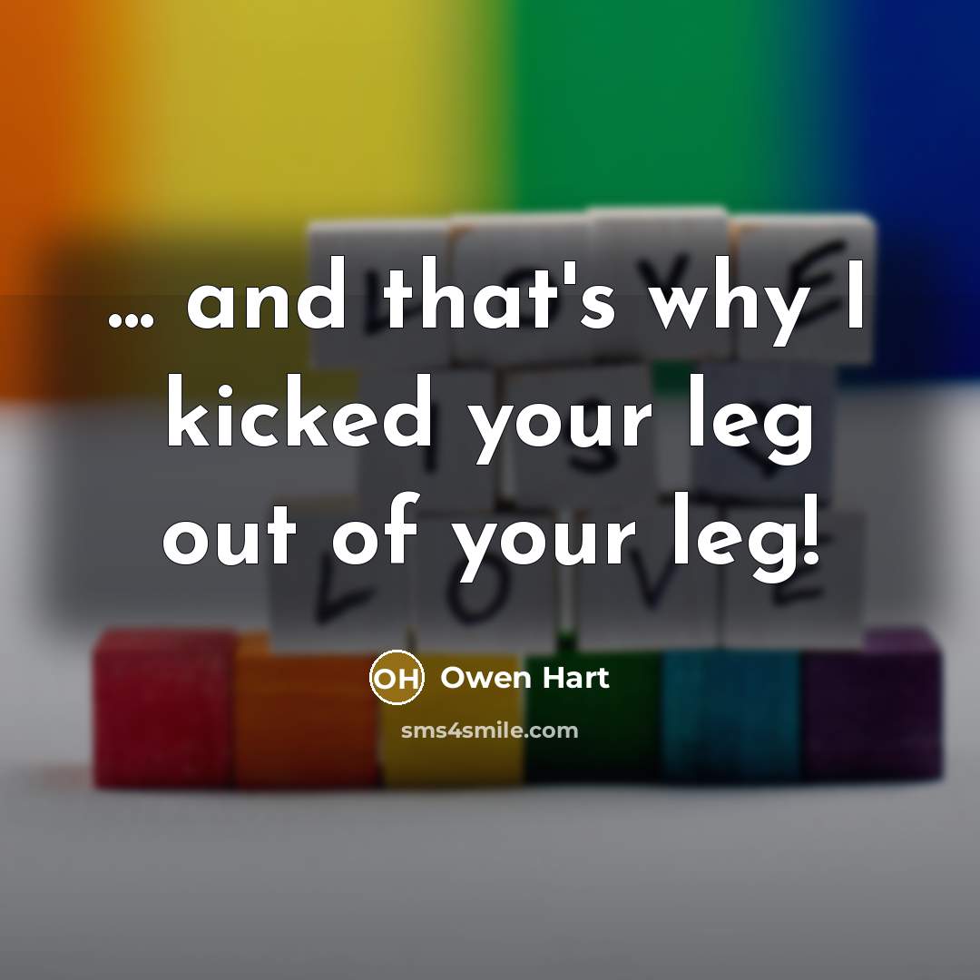 “... and that's why I kicked your leg out of your leg!” quote by Owen Hart