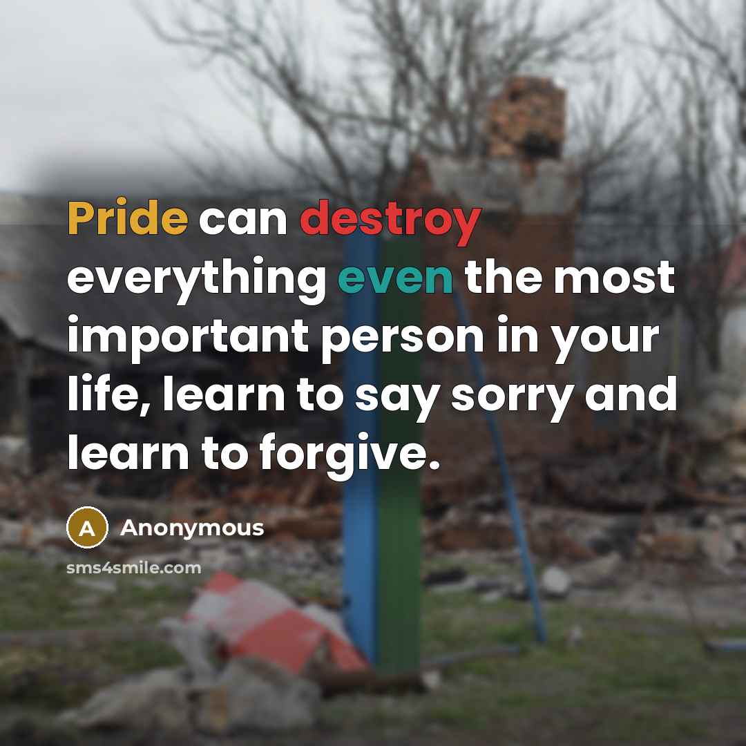 “Pride can destroy everything even the most important person in your life, learn to say sorry and learn to forgive.” quote by Anonymous