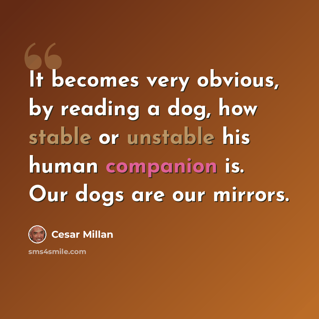 “It becomes very obvious, by reading a dog, how stable or unstable his human companion is. Our dogs are our mirrors.” quote by Cesar Millan
