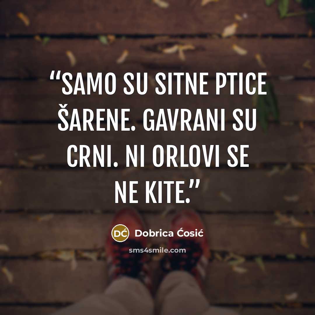 “Samo su sitne ptice šarene. Gavrani su crni. Ni orlovi se ne kite.” quote by Dobrica Ćosić