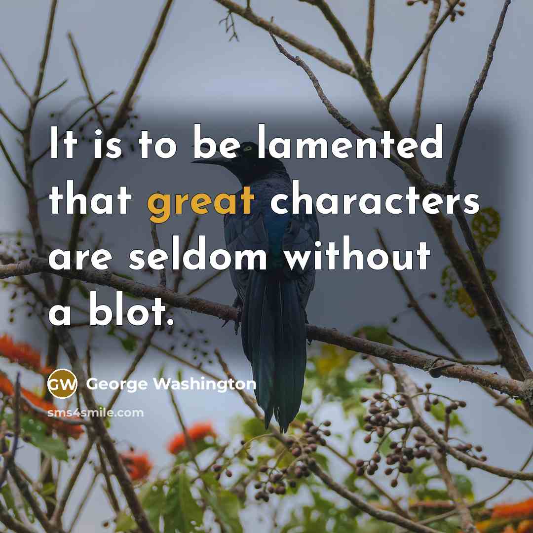 “It is to be lamented that great characters are seldom without a blot.” quote by George Washington