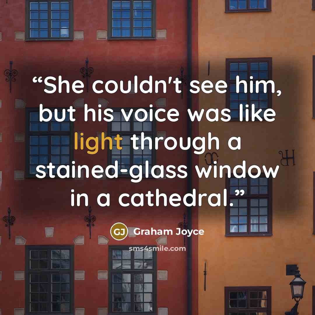 “She couldn't see him, but his voice was like light through a stained-glass window in a cathedral.” quote by Graham Joyce