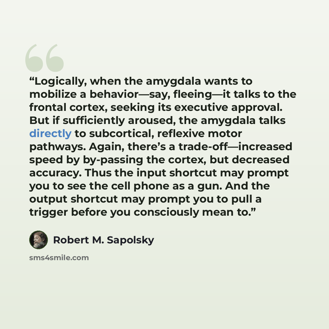 “Logically, when the amygdala wants to mobilize a behavior—say, fleeing—it talks to the frontal cortex, seeking its executive approval. But if sufficiently aroused, the amygdala talks directly to subcortical, reflexive motor pathways. Again, there’s a trade-off—increased speed by by-passing the…” quote by Robert M. Sapolsky
