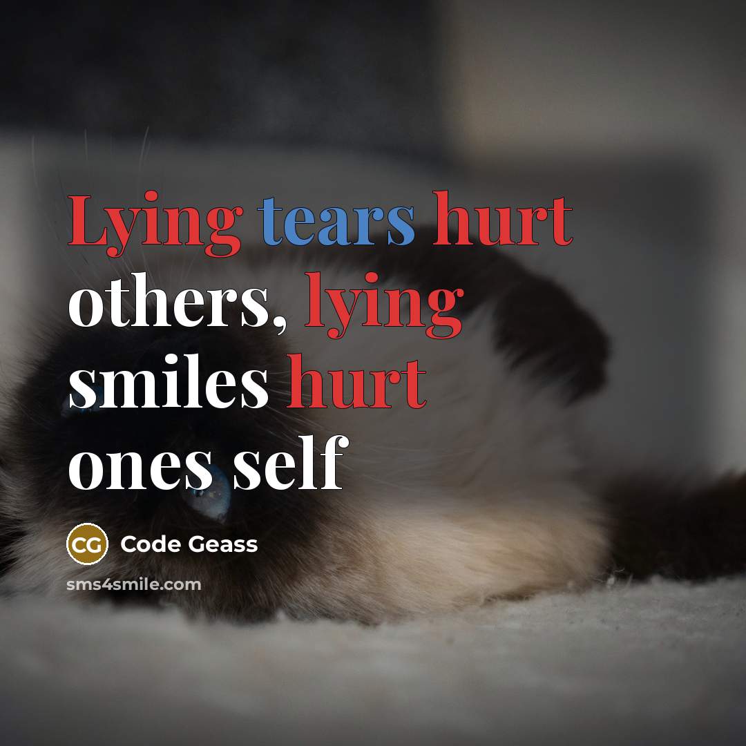 “Lying tears hurt others, lying smiles hurt ones self” quote by Code Geass