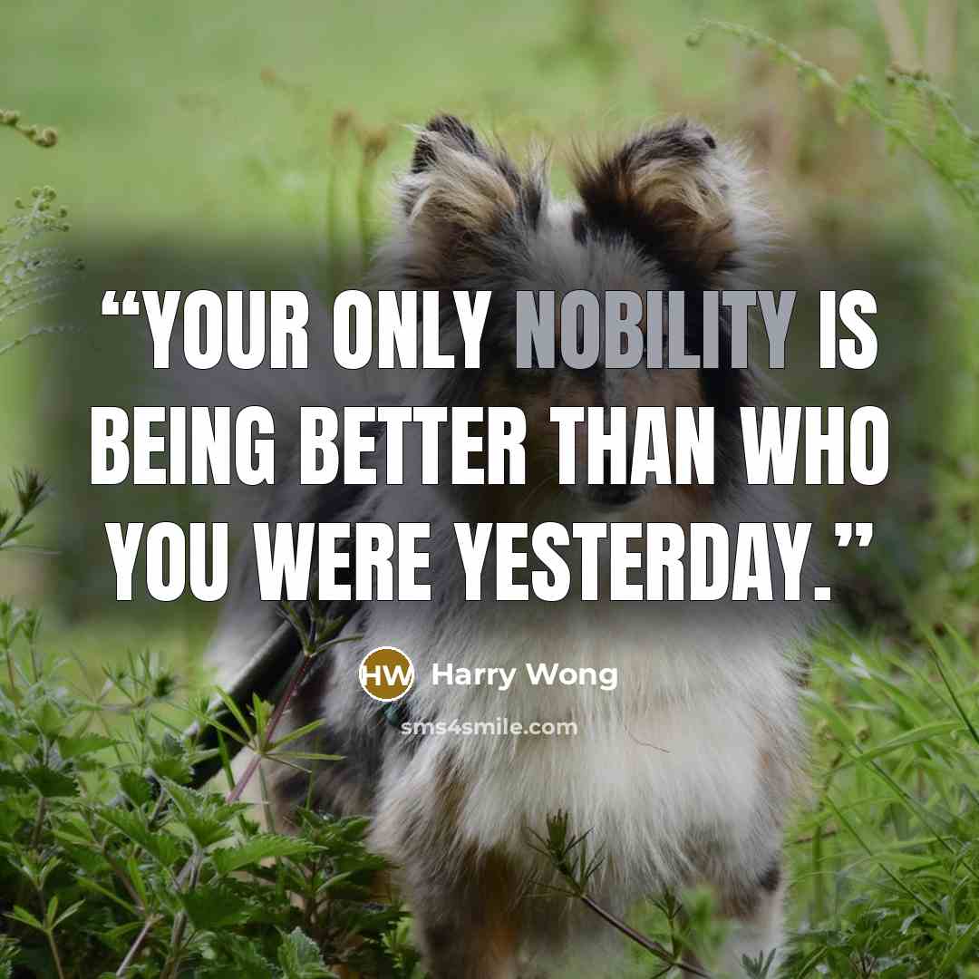 “Your only nobility is being better than who you were yesterday.” quote by Harry Wong