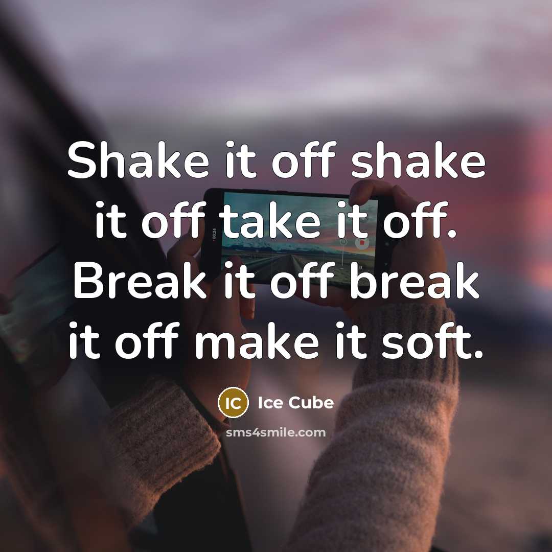 “Shake it off shake it off take it off. Break it off break it off make it soft.” quote by Ice Cube