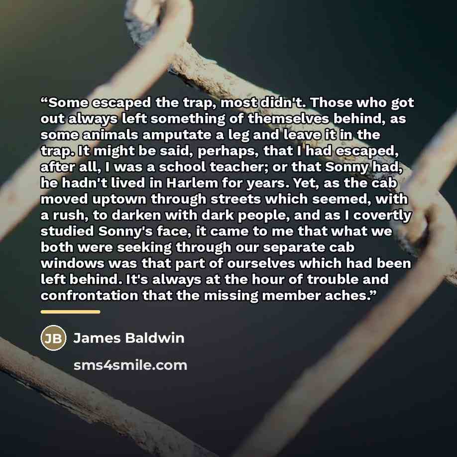 “Some escaped the trap, most didn't. Those who got out always left something of themselves behind, as some animals amputate a leg and leave it in the trap. It might be said, perhaps, that I had escaped, after all, I was a school teacher; or that Sonny had, he hadn't lived in Harlem for years. Yet…” quote by James Baldwin