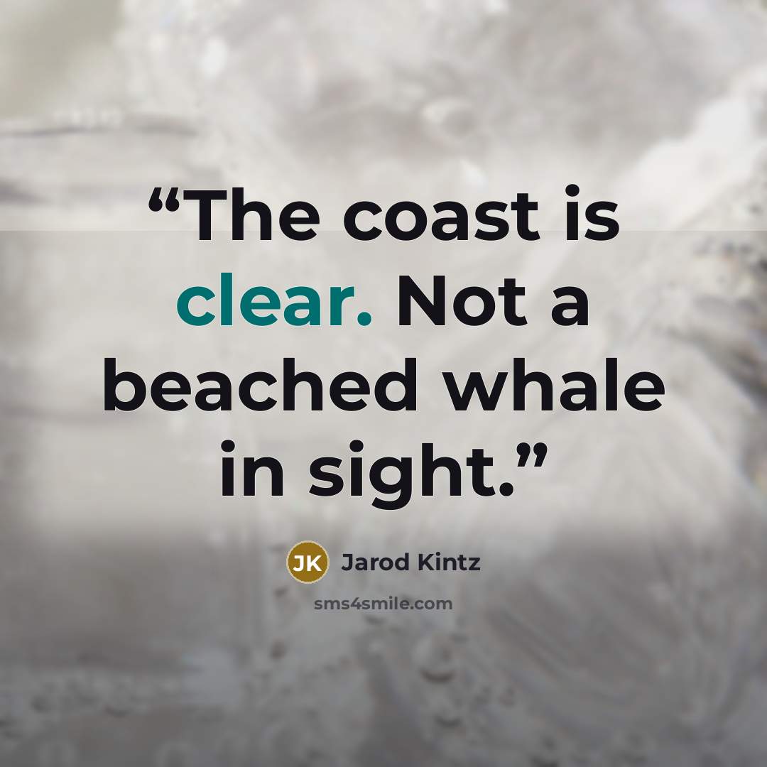 “The coast is clear. Not a beached whale in sight.” quote by Jarod Kintz