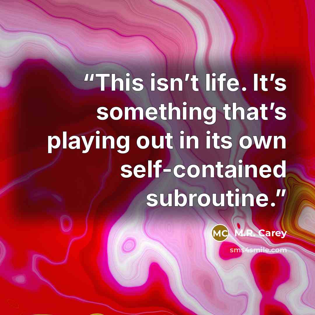 “This isn’t life. It’s something that’s playing out in its own self-contained subroutine.” quote by M.R. Carey