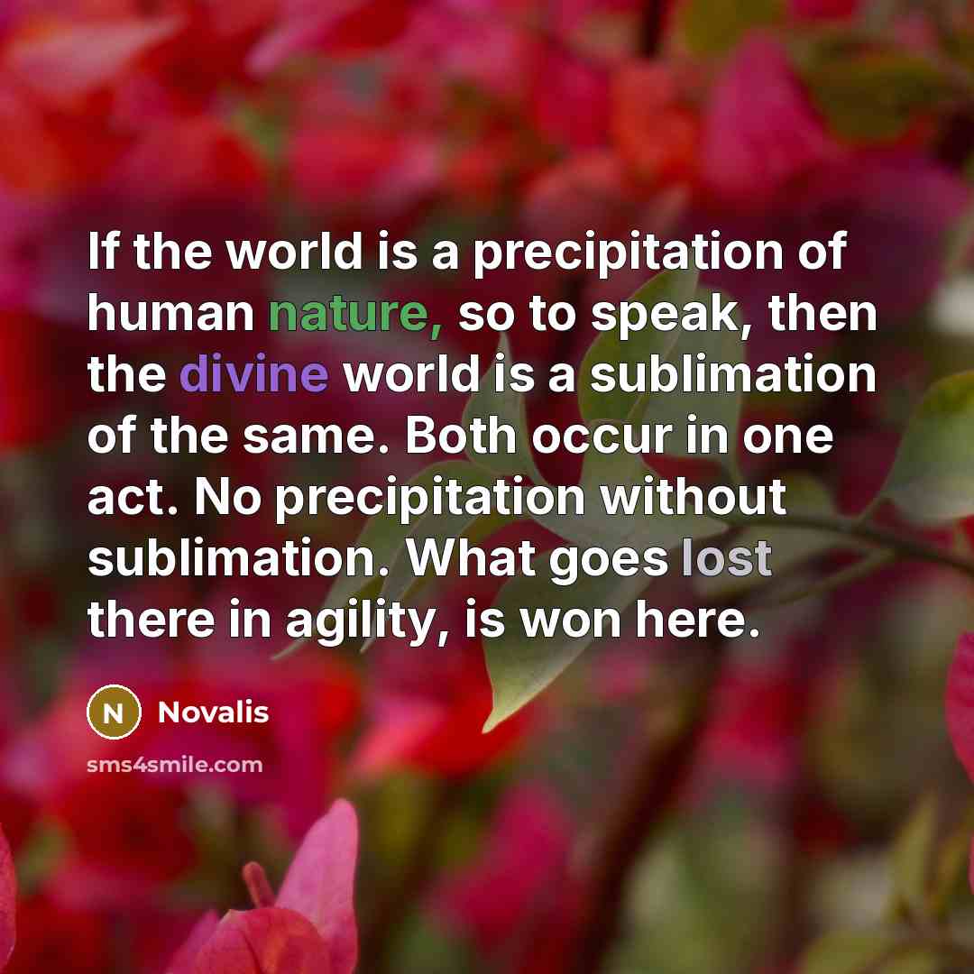 “If the world is a precipitation of human nature, so to speak, then the divine world is a sublimation of the same. Both occur in one act. No precipitation without sublimation. What goes lost there in agility, is won here.” quote by Novalis