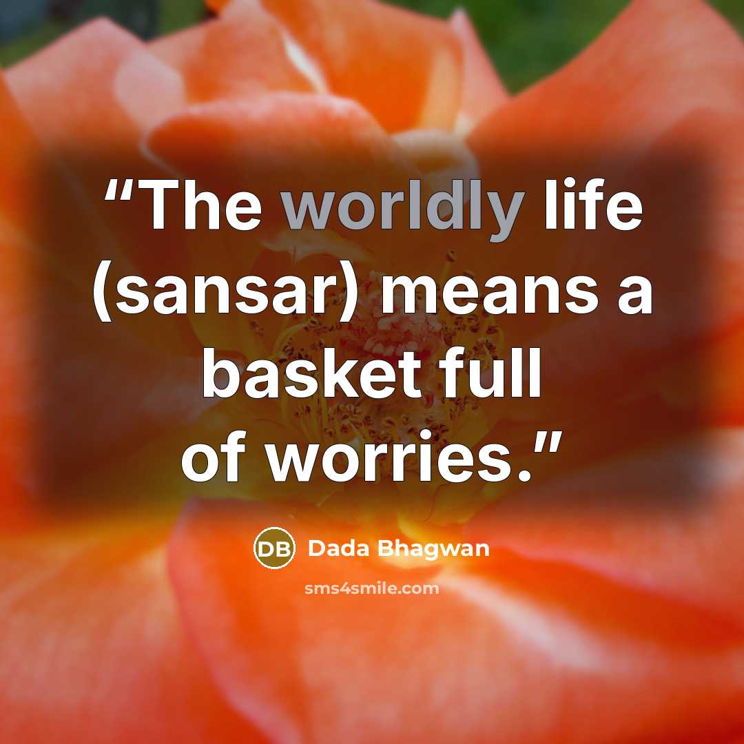 “The worldly life (sansar) means a basket full of worries.” quote by Dada Bhagwan