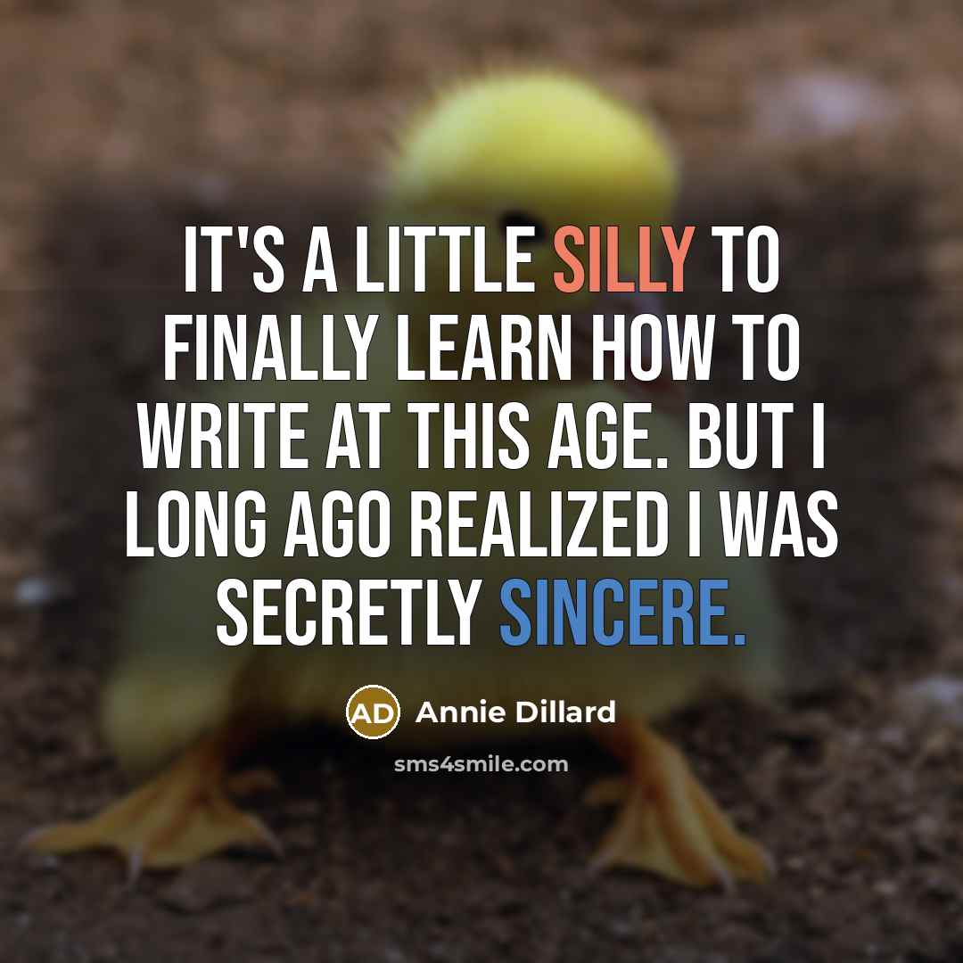 “It's a little silly to finally learn how to write at this age. But I long ago realized I was secretly sincere.” quote by Annie Dillard