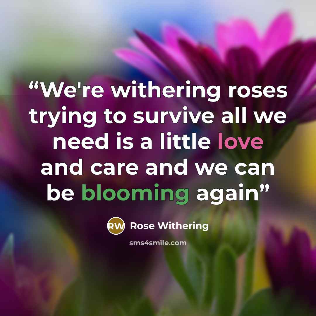 “We're withering roses trying to survive all we need is a little love and care and we can be blooming again” quote by Rose Withering