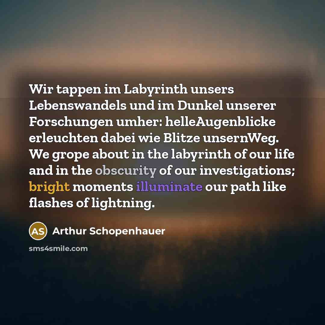 “Wir tappen im Labyrinth unsers Lebenswandels und im Dunkel unserer Forschungen umher: helleAugenblicke erleuchten dabei wie Blitze unsernWeg. We grope about in the labyrinth of our life and in the obscurity of our investigations; bright moments illuminate our path like flashes of lightning.” quote by Arthur Schopenhauer
