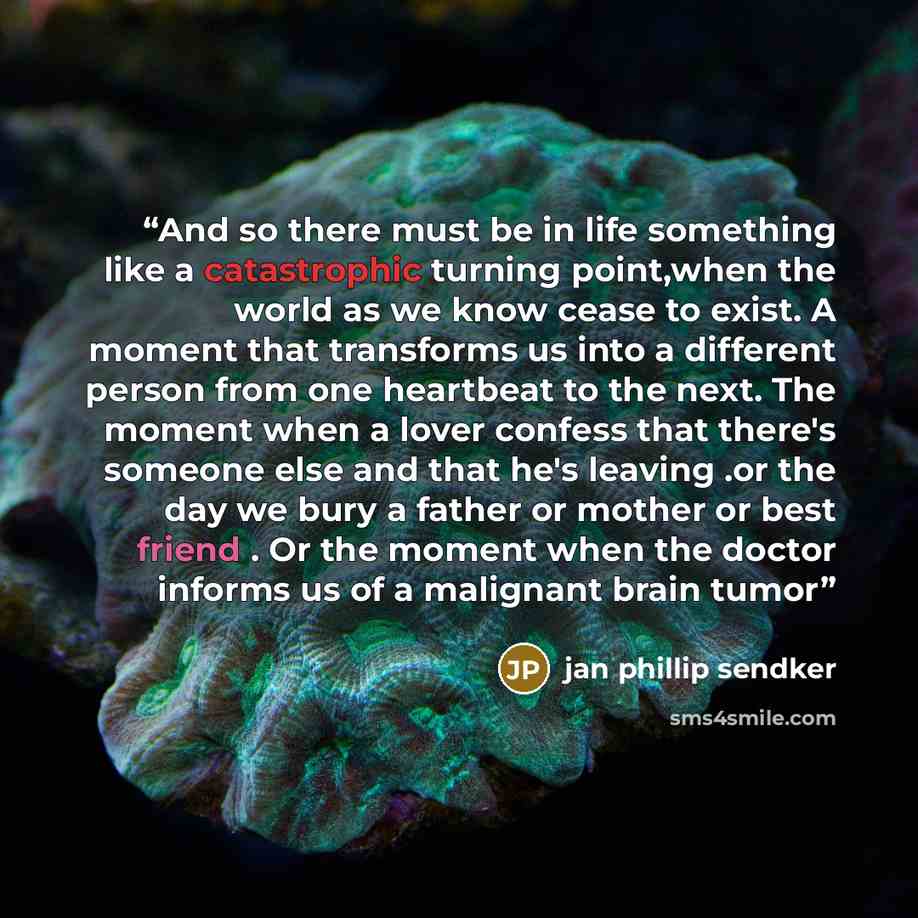 “And so there must be in life something like a catastrophic turning point,when the world as we know cease to exist. A moment that transforms us into a different person from one heartbeat to the next. The moment when a lover confess that there's someone else and that he's leaving .or the day we bury…” quote by jan phillip sendker
