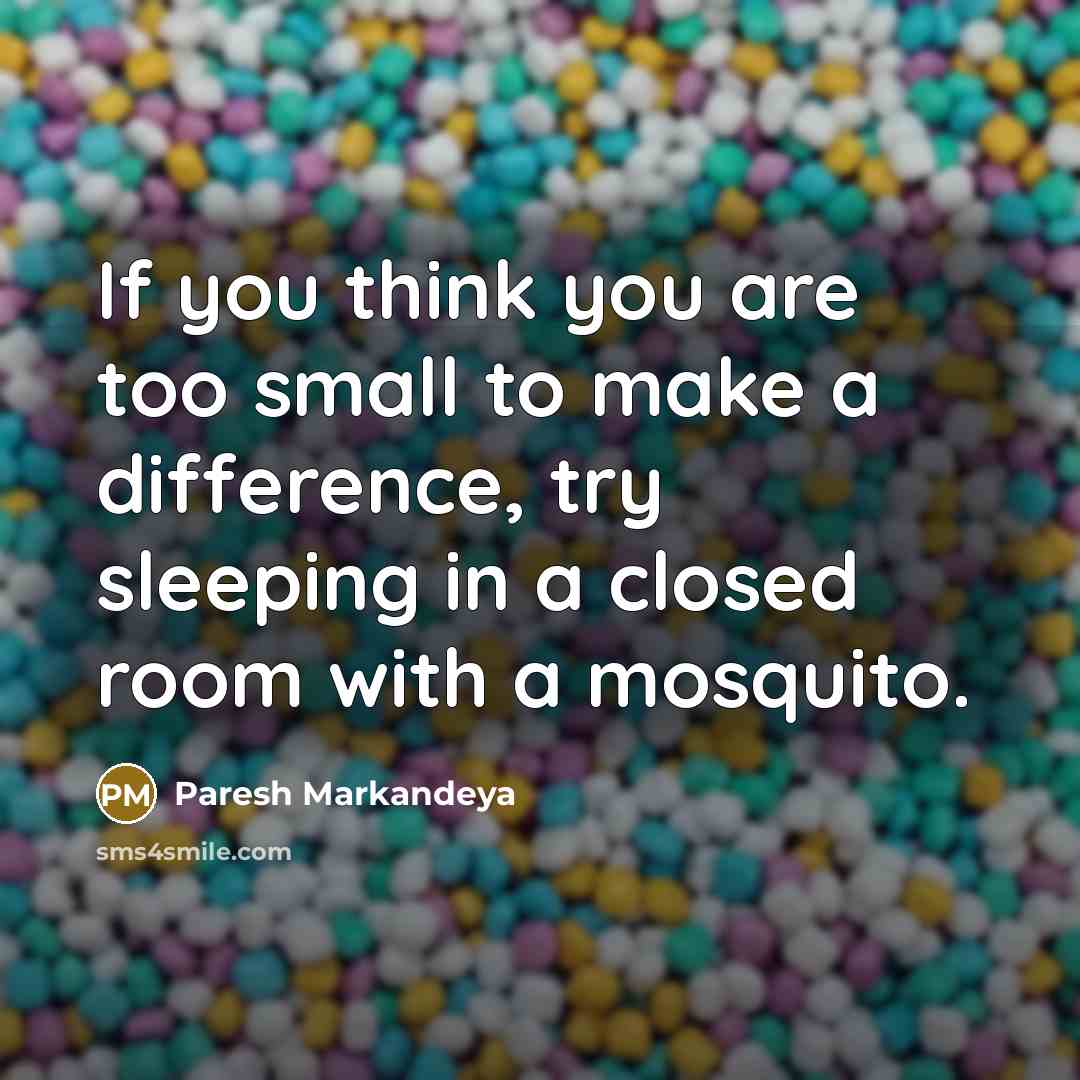 “If you think you are too small to make a difference, try sleeping in a closed room with a mosquito.” quote by Paresh Markandeya