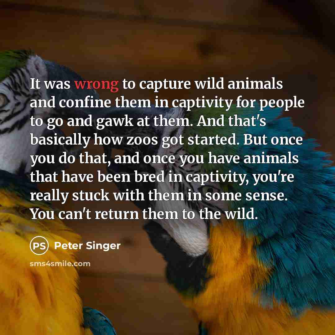 “It was wrong to capture wild animals and confine them in captivity for people to go and gawk at them. And that's basically how zoos got started. But once you do that, and once you have animals that have been bred in captivity, you're really stuck with them in some sense. You can't return them to…” quote by Peter Singer
