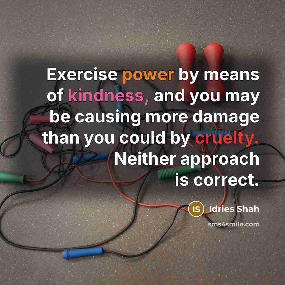 “Exercise power by means of kindness, and you may be causing more damage than you could by cruelty. Neither approach is correct.” quote by Idries Shah