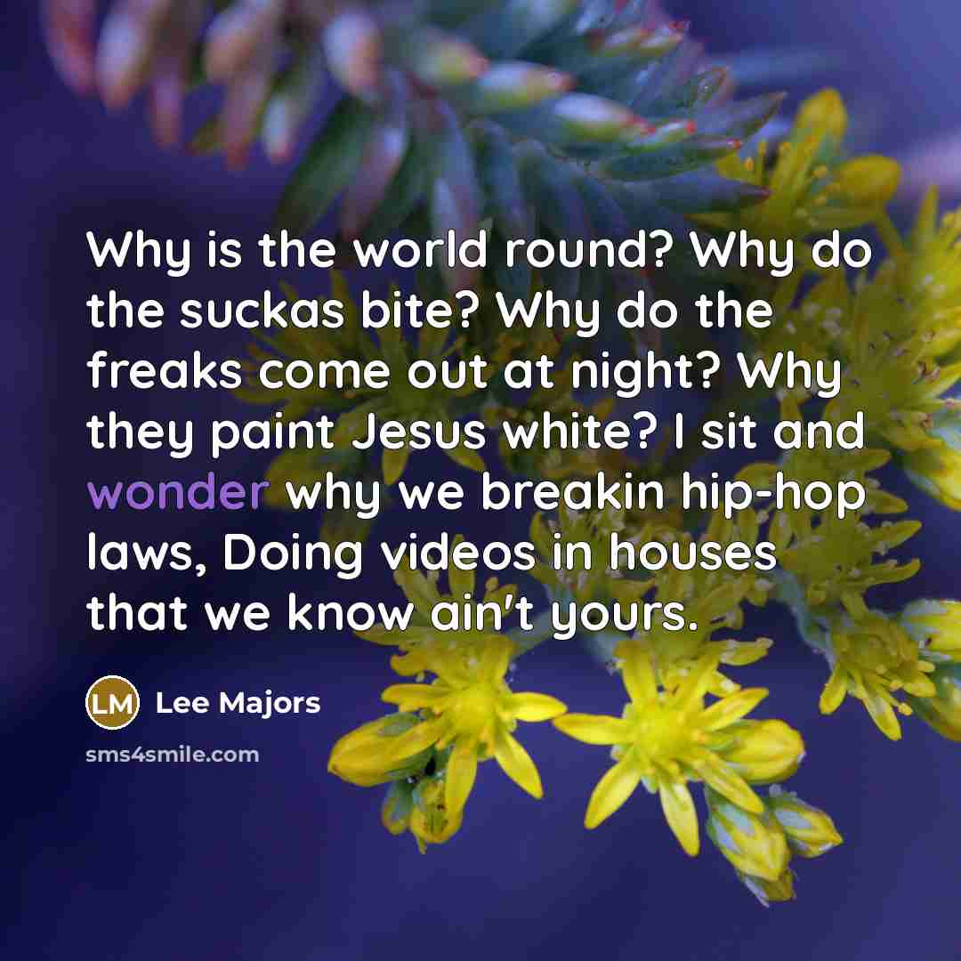 “Why is the world round? Why do the suckas bite? Why do the freaks come out at night? Why they paint Jesus white? I sit and wonder why we breakin hip-hop laws, Doing videos in houses that we know ain't yours.” quote by Lee Majors