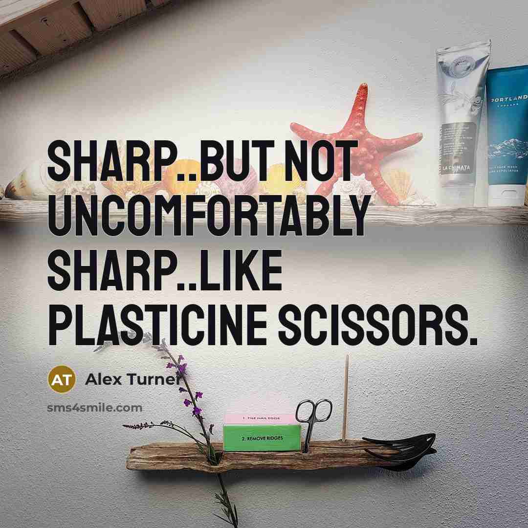 “Sharp..but not uncomfortably sharp..like plasticine scissors.” quote by Alex Turner
