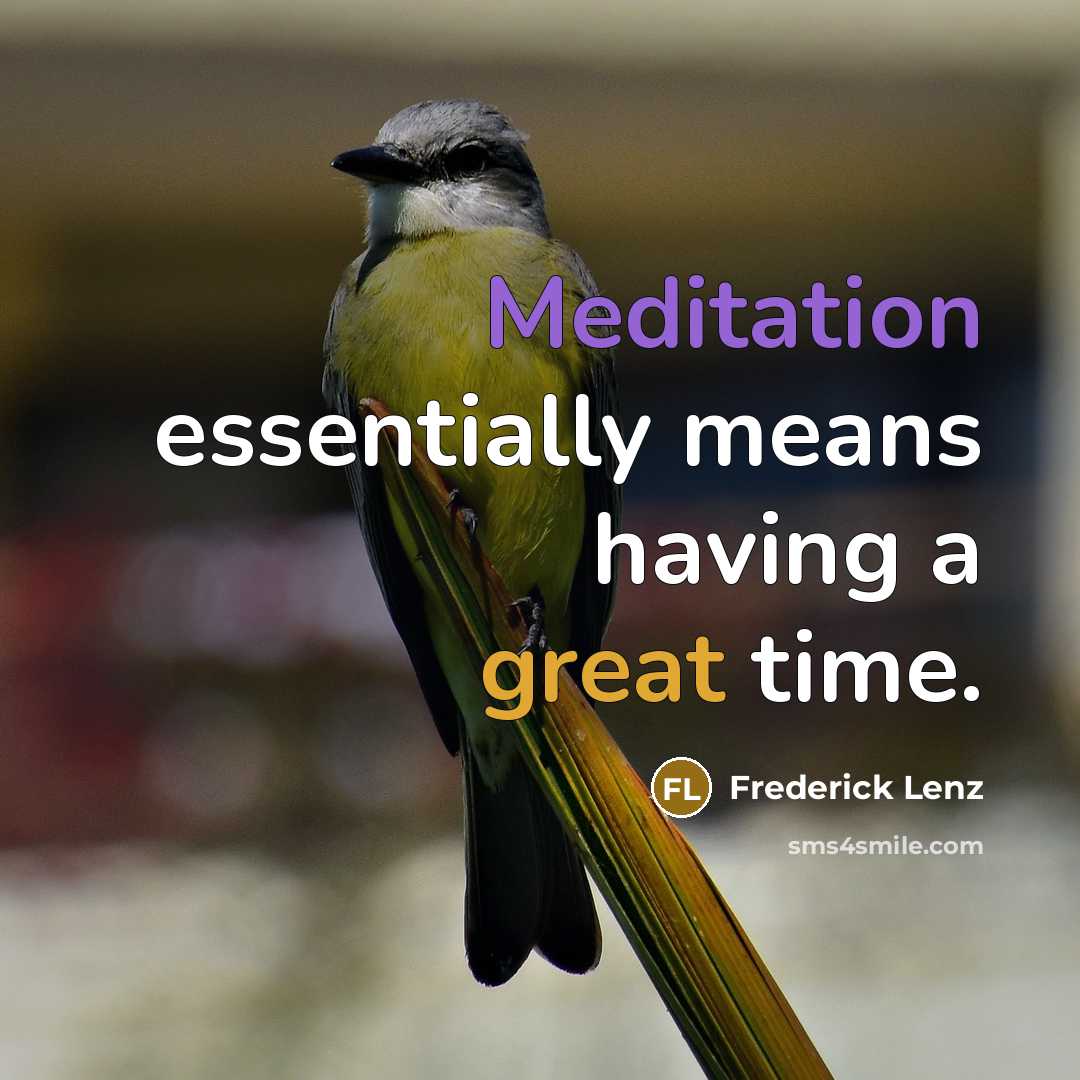 “Meditation essentially means having a great time.” quote by Frederick Lenz
