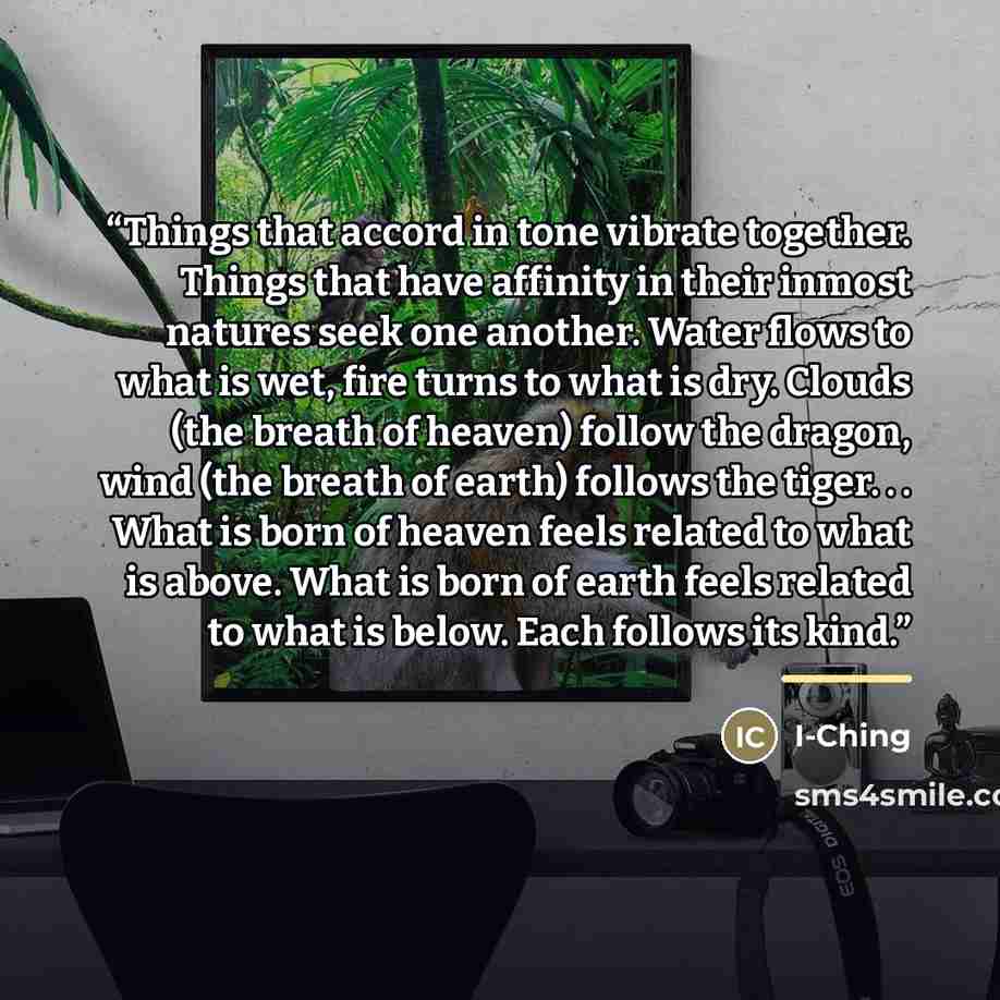“Things that accord in tone vibrate together. Things that have affinity in their inmost natures seek one another. Water flows to what is wet, fire turns to what is dry. Clouds (the breath of heaven) follow the dragon, wind (the breath of earth) follows the tiger. . . What is born of heaven feels…” quote by I-Ching