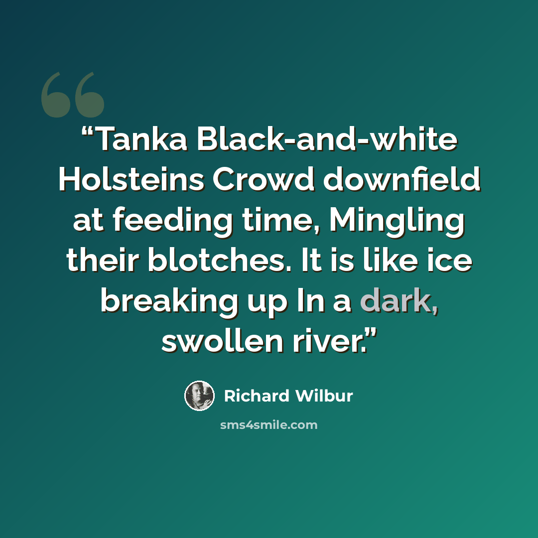 “Tanka Black-and-white Holsteins Crowd downfield at feeding time, Mingling their blotches. It is like ice breaking up In a dark, swollen river.” quote by Richard Wilbur