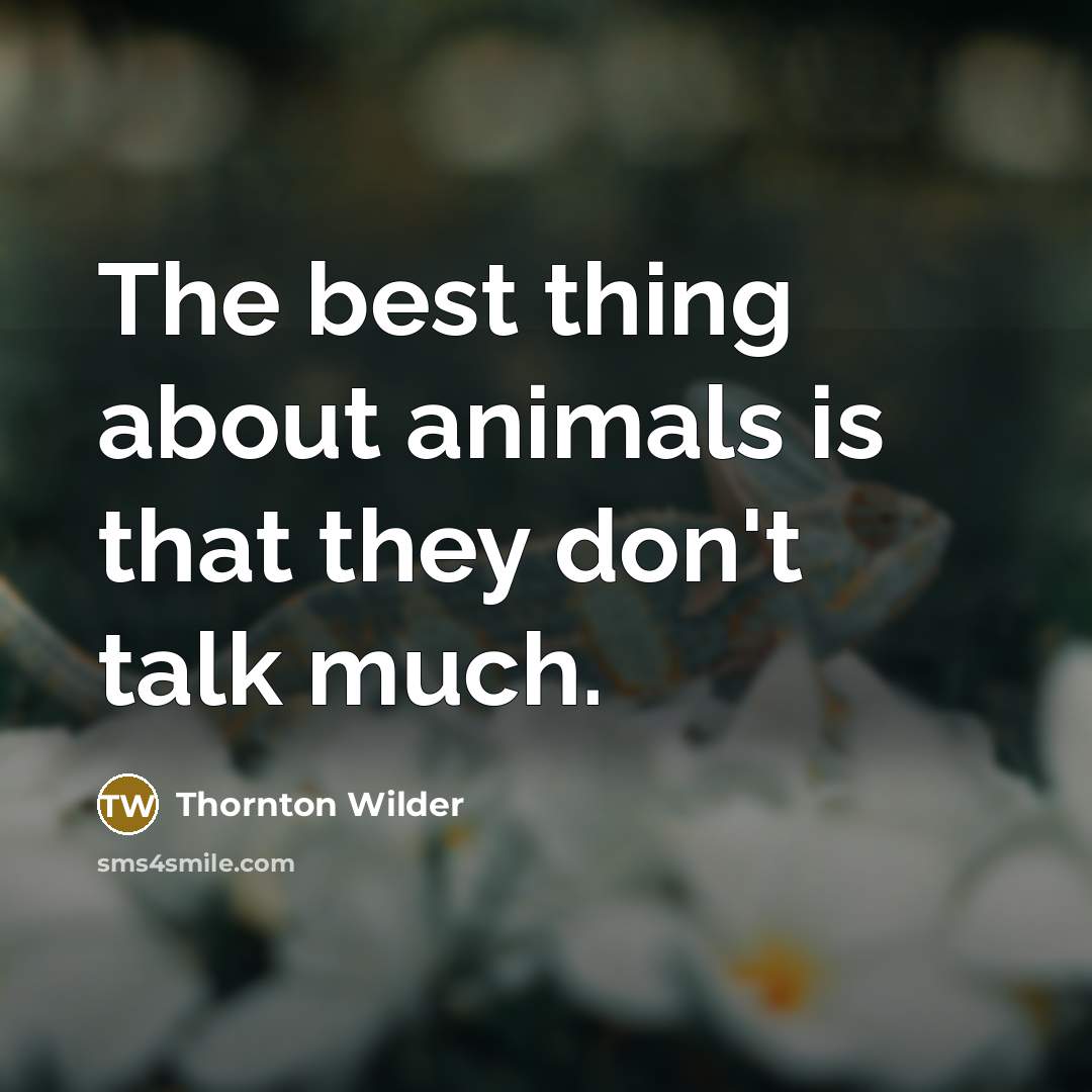 “The best thing about animals is that they don't talk much.” quote by Thornton Wilder