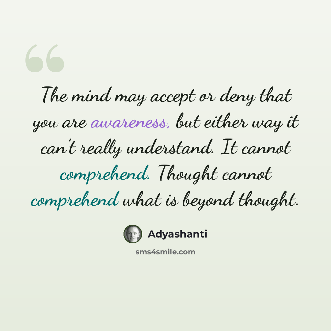 “The mind may accept or deny that you are awareness, but either way it can’t really understand. It cannot comprehend. Thought cannot comprehend what is beyond thought.” quote by Adyashanti