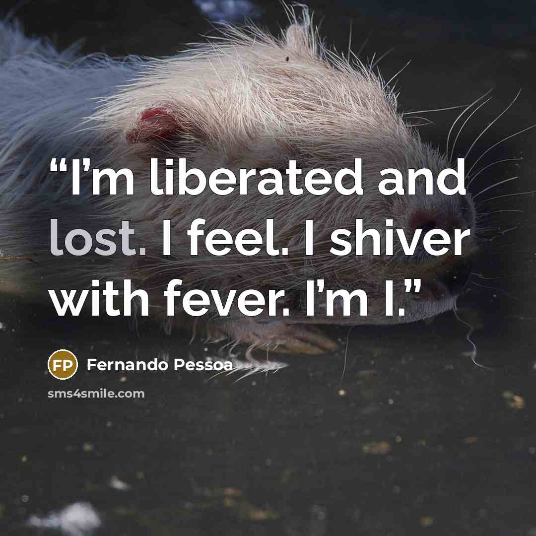 “I’m liberated and lost. I feel. I shiver with fever. I’m I.” quote by Fernando Pessoa