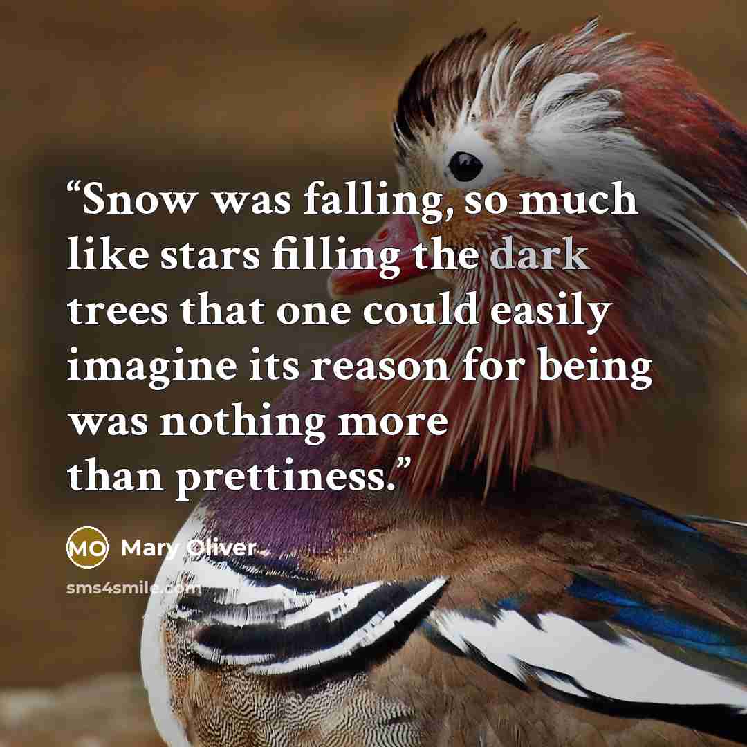 “Snow was falling, so much like stars filling the dark trees that one could easily imagine its reason for being was nothing more than prettiness.” quote by Mary Oliver